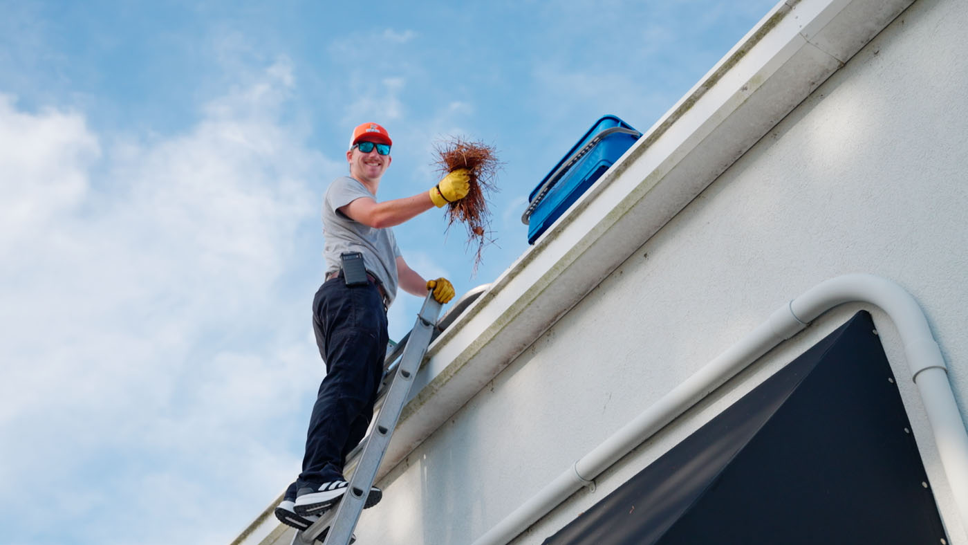 A Window Ninjas team member on a ladder cleaning out debris from a gutter. 